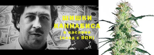 молекула духа Зеленодольск
