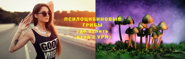 молекула духа Зеленодольск