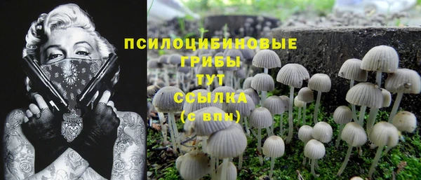 молекула духа Зеленодольск