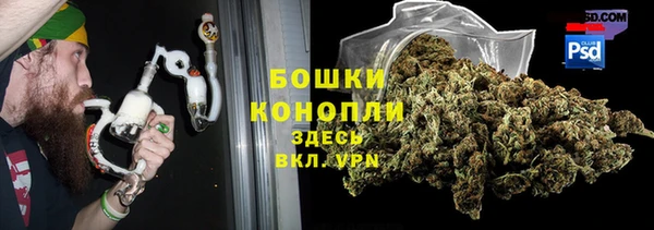 молекула духа Зеленодольск