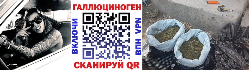Псилоцибиновые грибы прущие грибы  Полтавская 